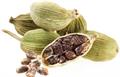 Cardamomi